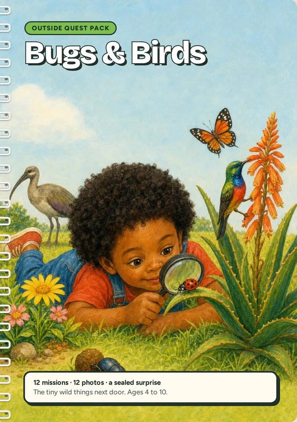 Bugs and Birds Quest Pack cover